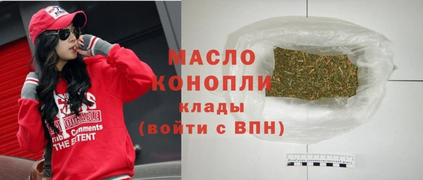 таблы Бородино