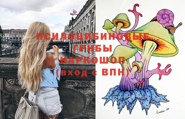 таблы Бородино