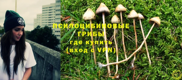 эйфоретик Бугульма