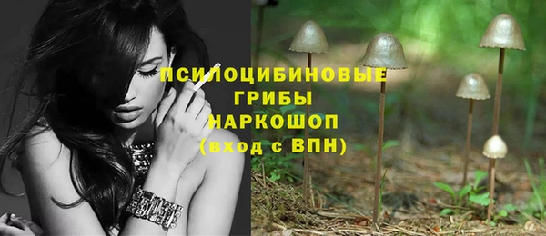 эйфоретик Бугульма